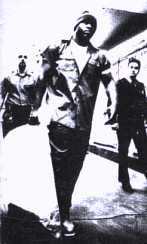 Freddie4.gif (85232 bytes)