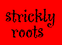 Strickly