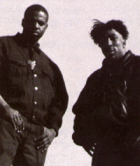 Roots